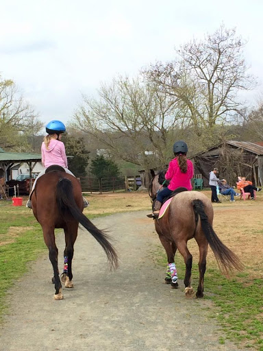 Double Take Stables | Ride The Horse