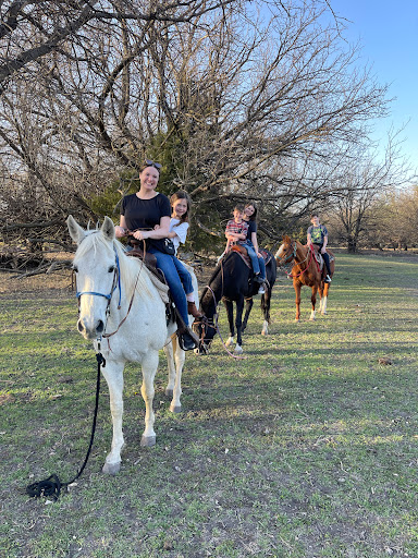 Diamond Springs Ranch | Ride The Horse